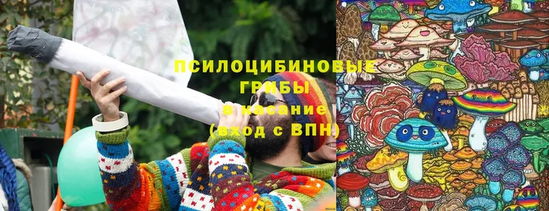 блэк спрут сайт  Менделеевск  Галлюциногенные грибы Magic Shrooms  что такое  